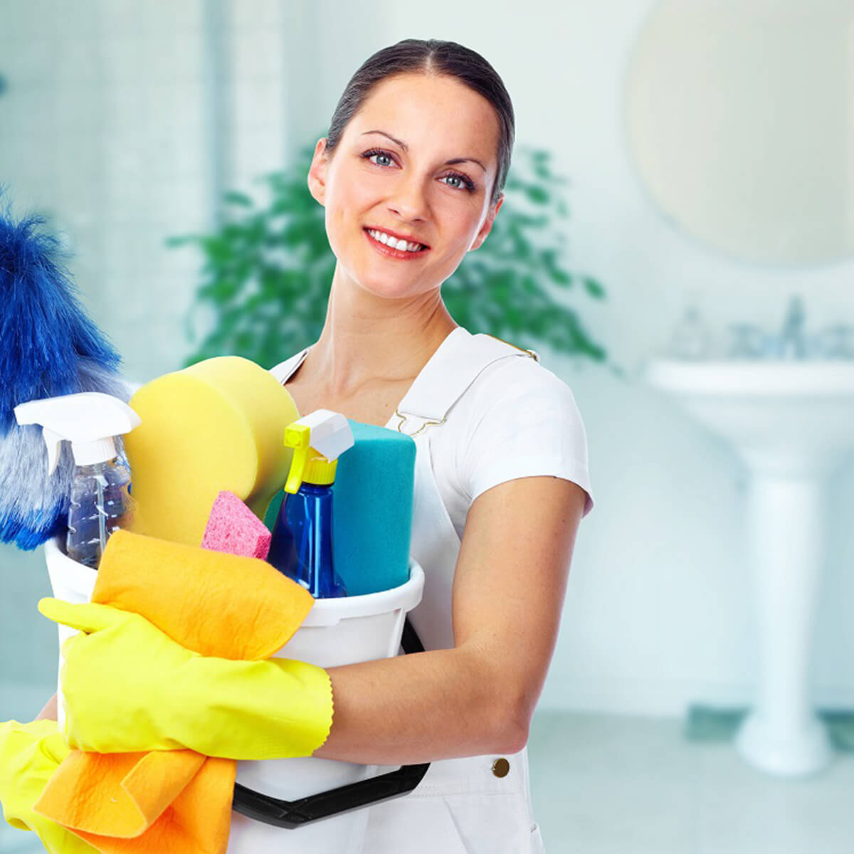 Commercial Cleaning Services includes the following things: